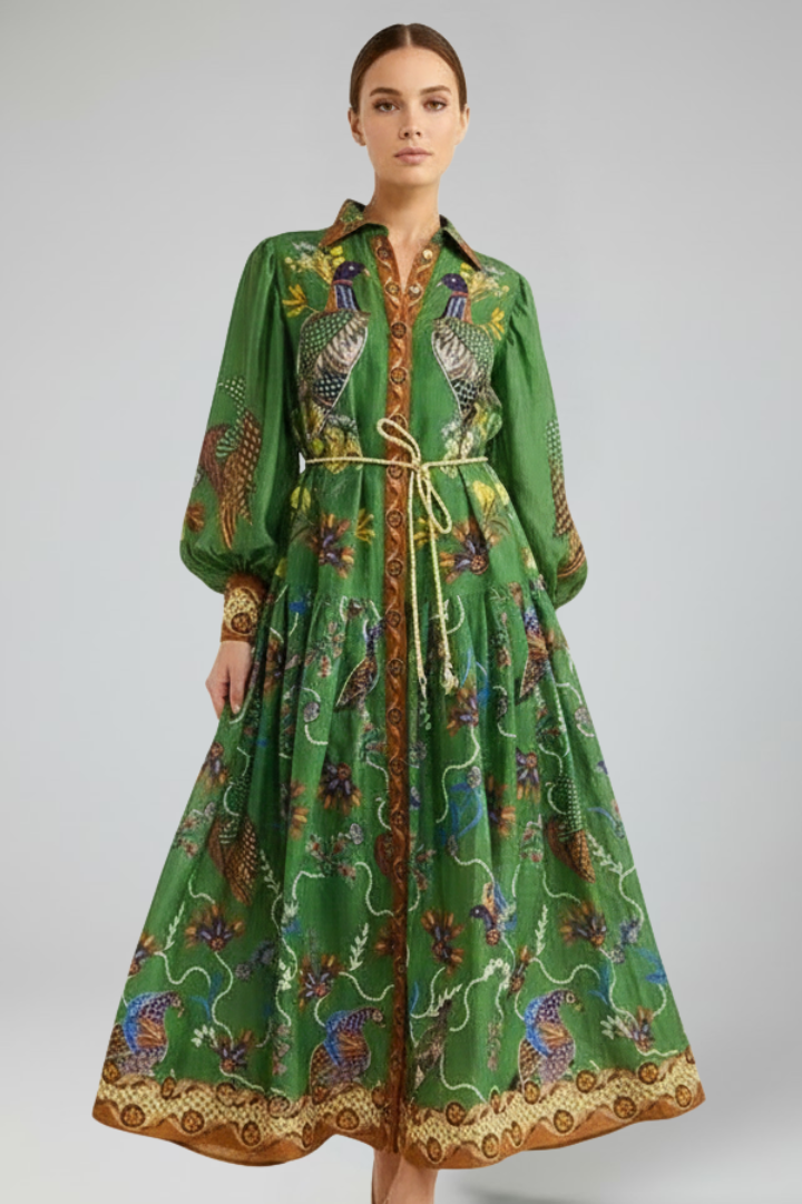 Women's Printed Long Sleeve V-Neck Maxi Dress
